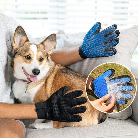 Gant de toilettage | CleanHand™