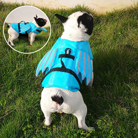 gilet de sauvetage chien