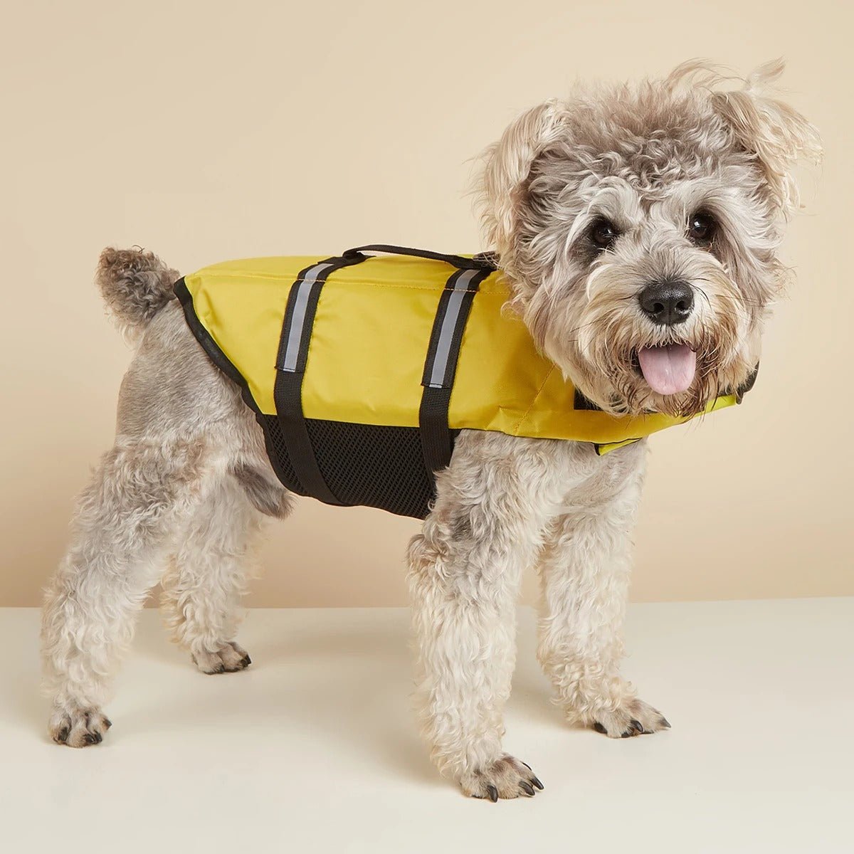 gilet de sauvetage chien