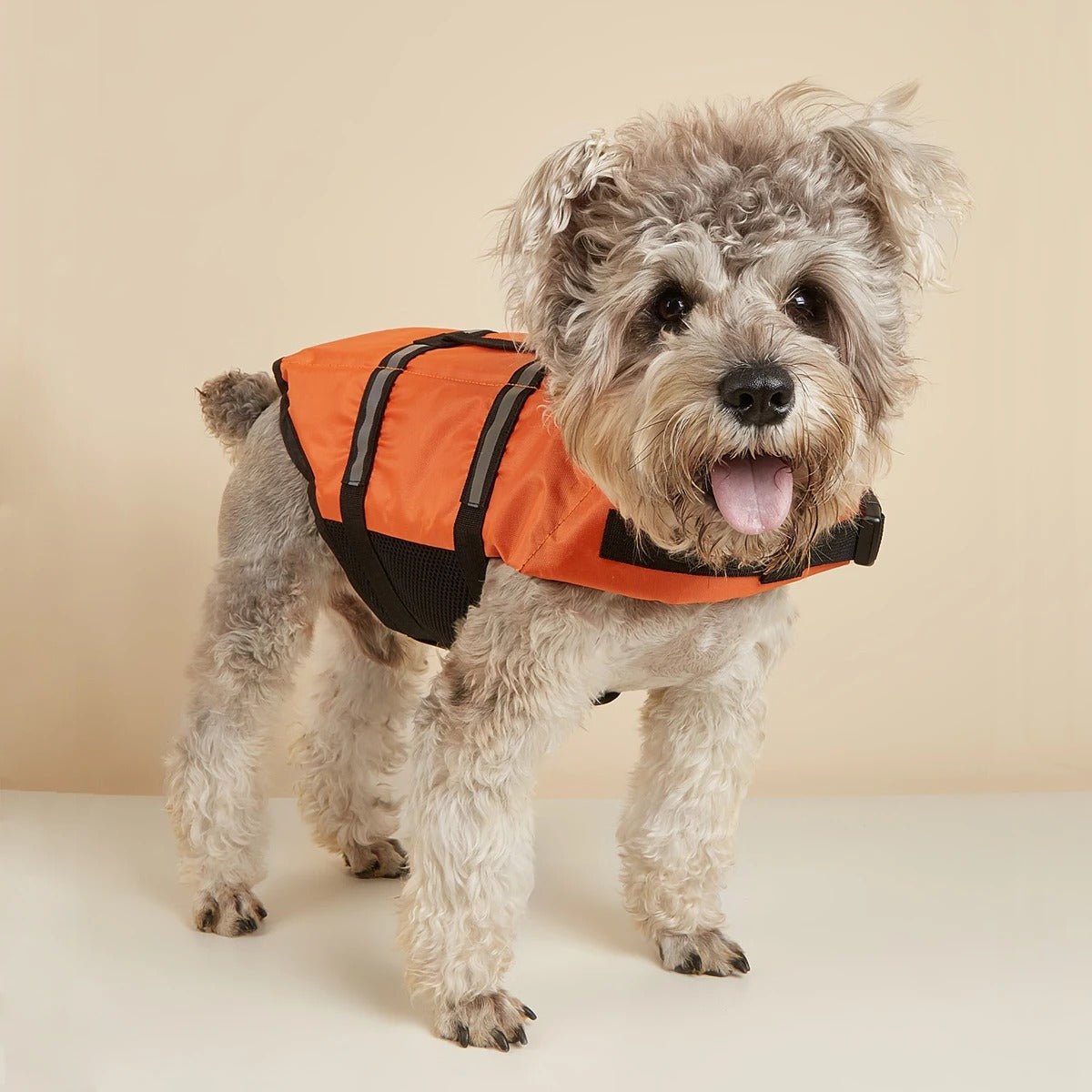 gilet de sauvetage chien