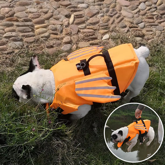 gilet de sauvetage chien