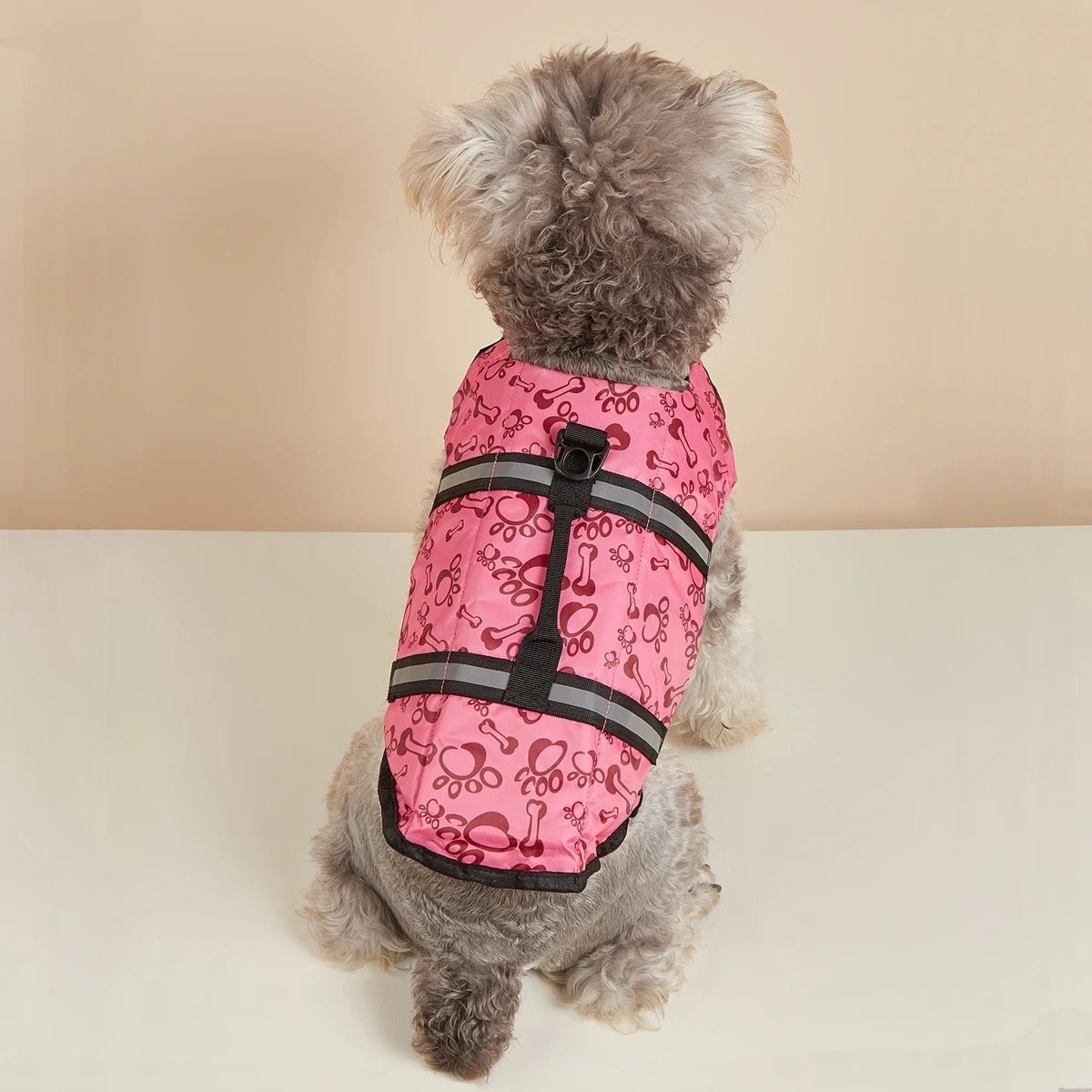 gilet de sauvetage chien