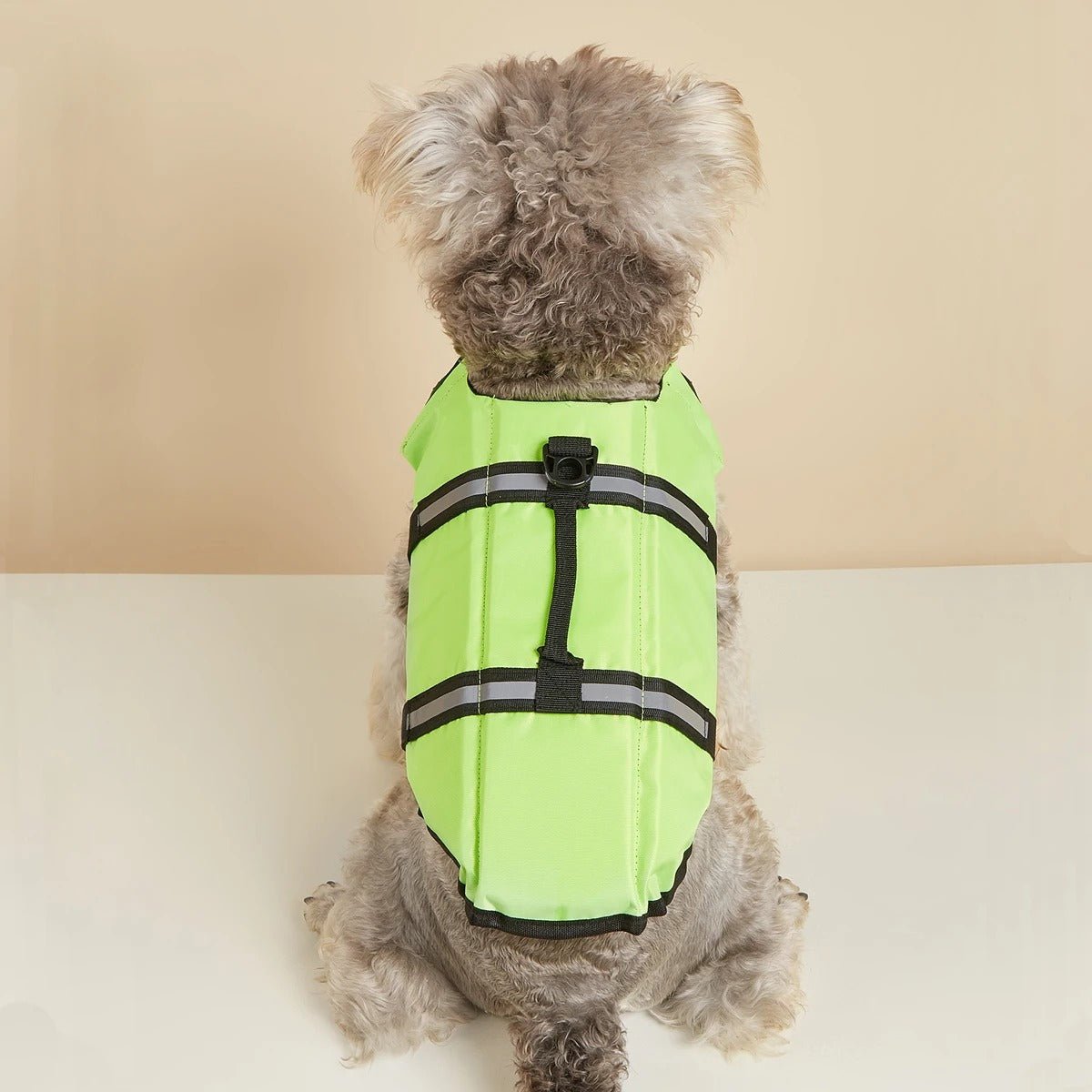 gilet de sauvetage chien