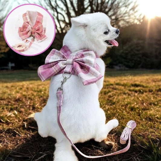harnais pour chien