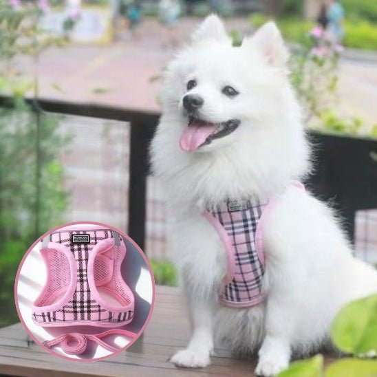 harnais pour chien