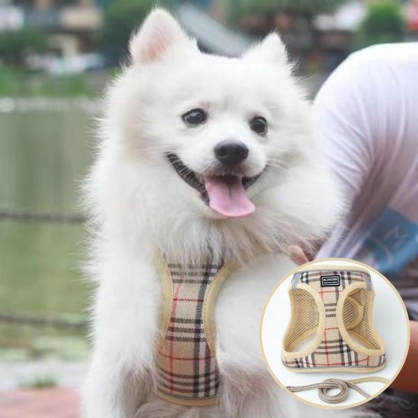 harnais pour chien