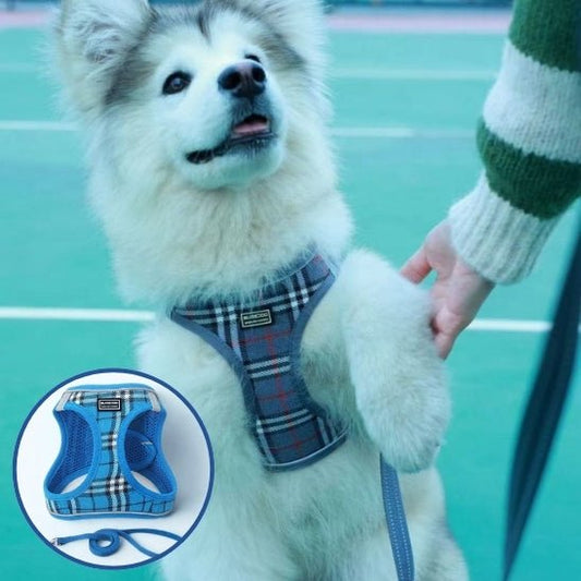 harnais pour chien