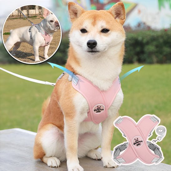 harnais pour chien