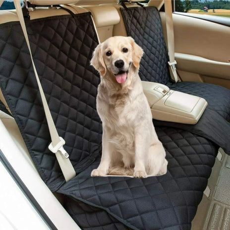 housse voiture chien