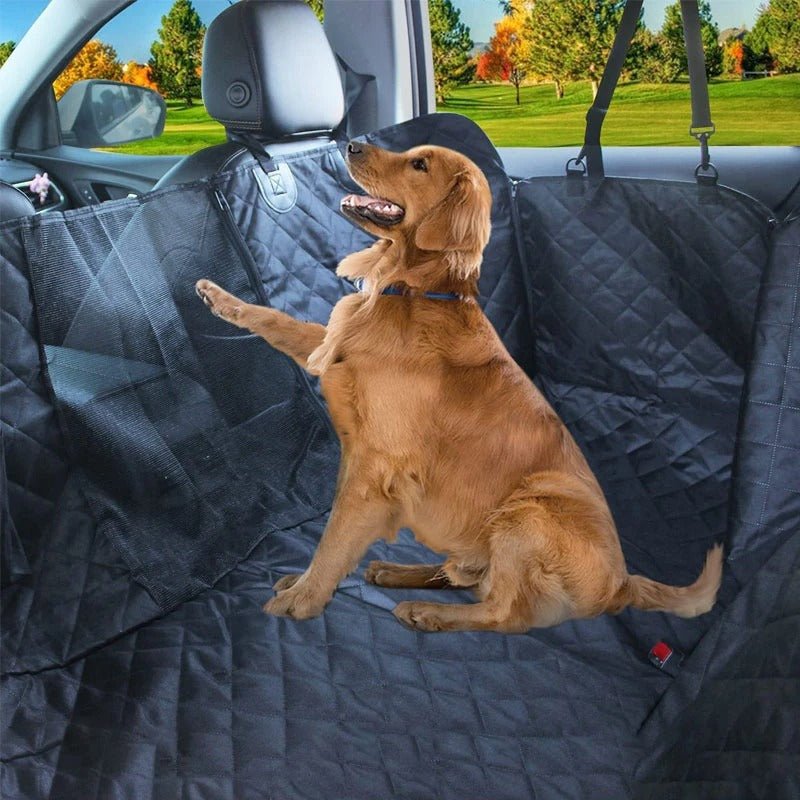 housse voiture chien