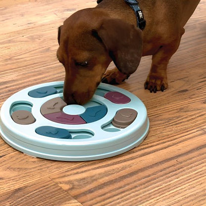 jeux pour chien