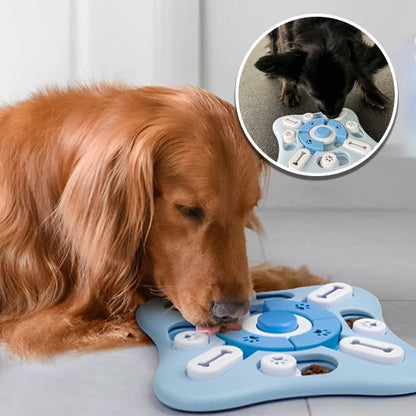 jeux pour chien