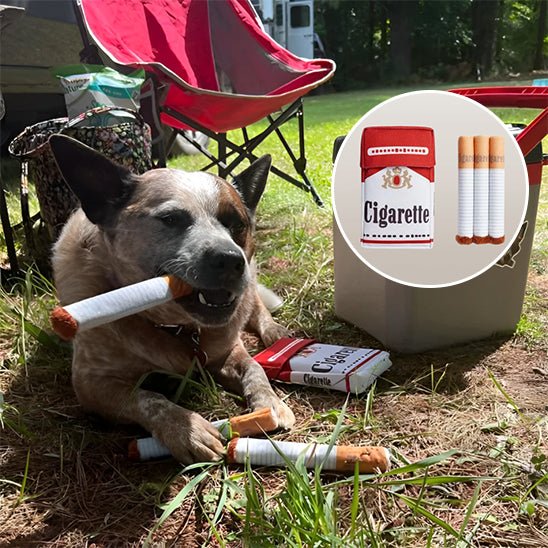 jouet pour chien