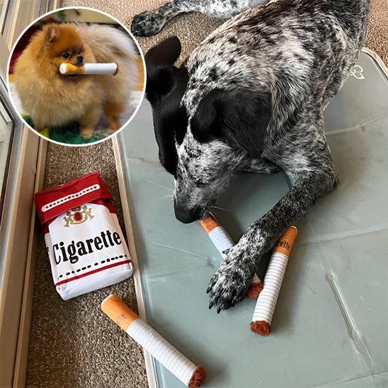 jouet pour chien