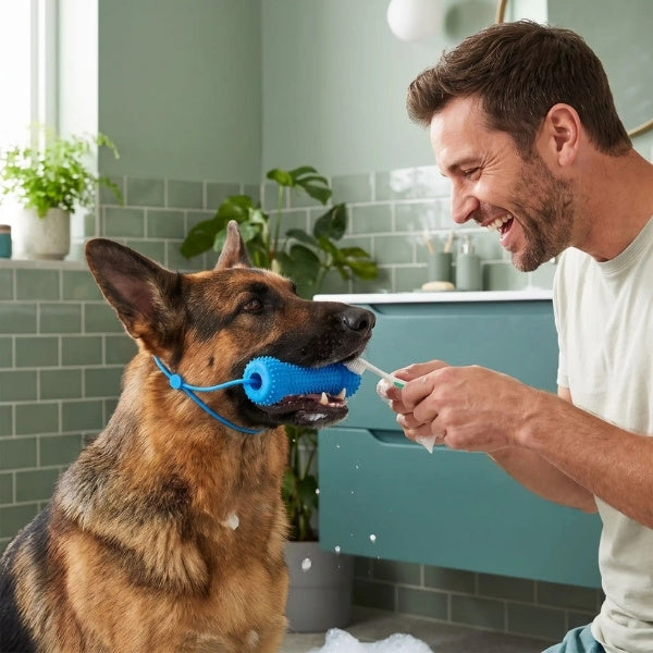 jouet pour chien