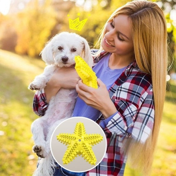 jouet pour chien