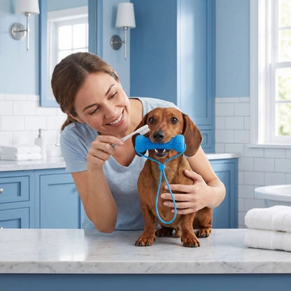 jouet pour chien
