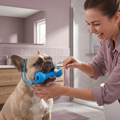 jouet pour chien
