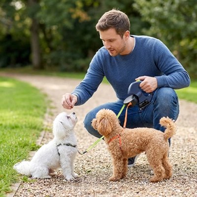 Laisse double pour Chien