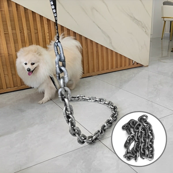 laisse pour chien
