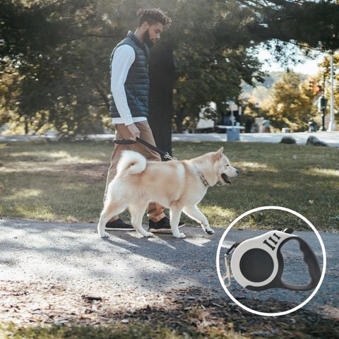 laisse pour chien