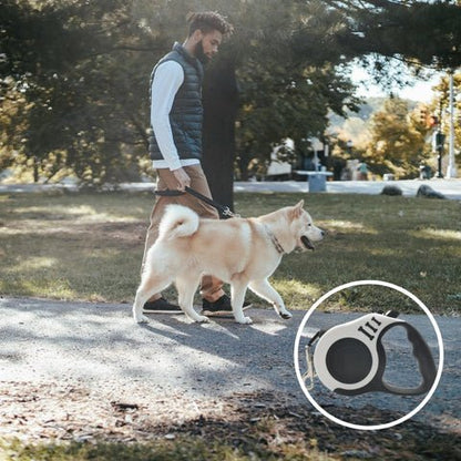 laisse pour chien