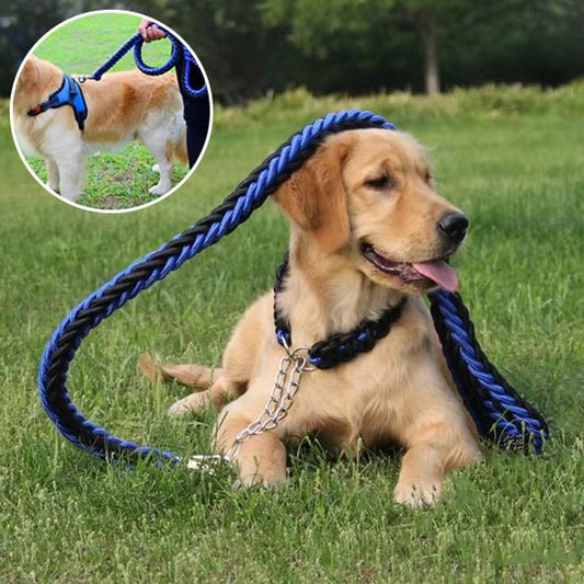 laisse pour chien