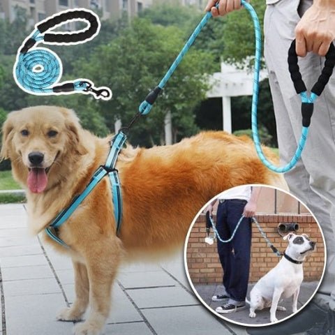 laisse pour chien