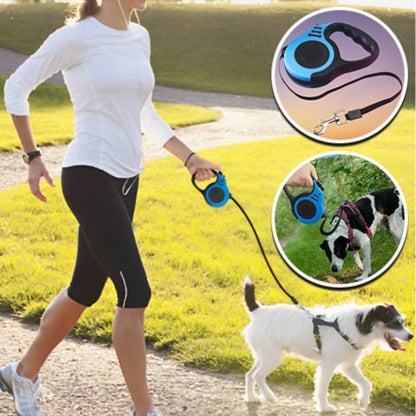 laisse pour chien