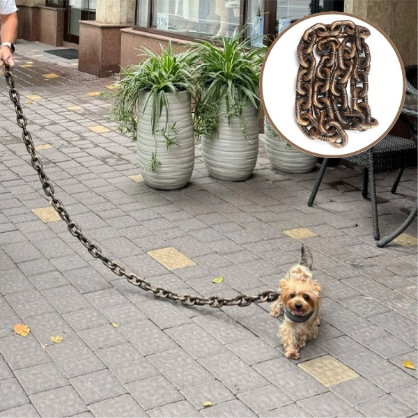 laisse pour chien