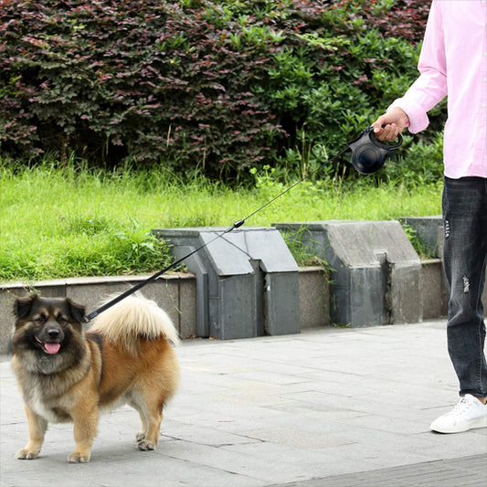 laisse pour chien