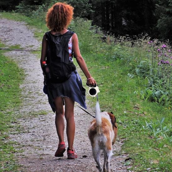 laisse pour chien
