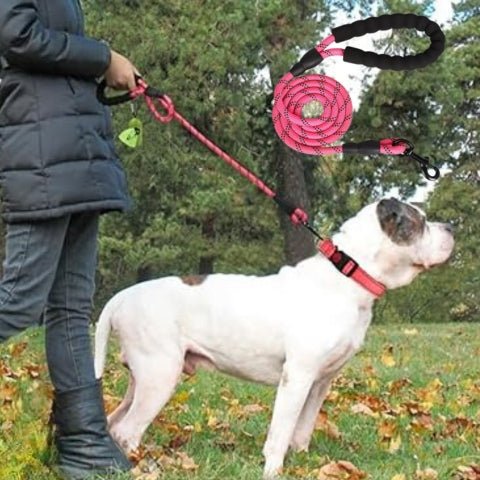 laisse pour chien