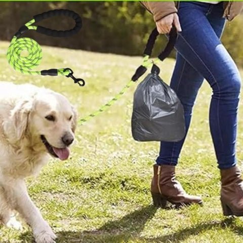 laisse pour chien