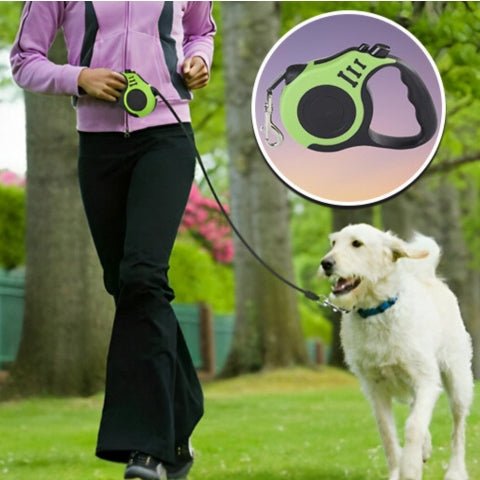 laisse pour chien
