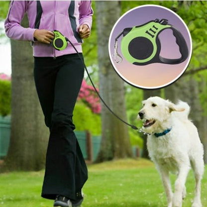 laisse pour chien