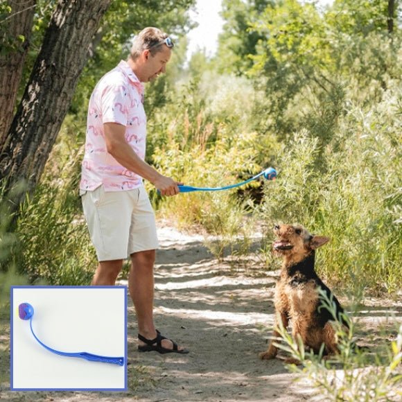 lanceur de balle pour chien