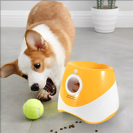lanceur de balle pour chien