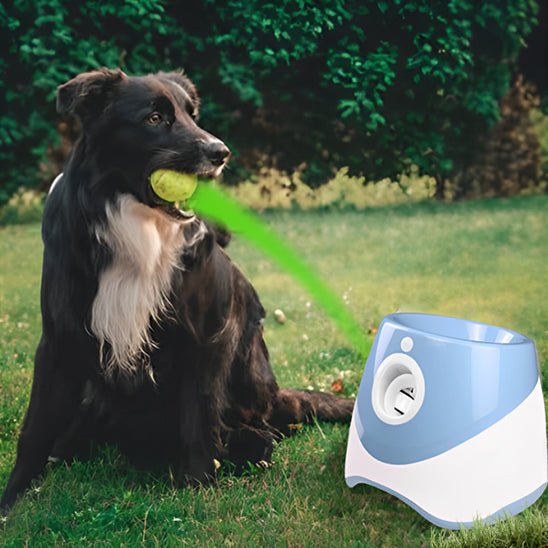 lanceur de balle pour chien
