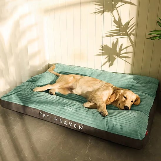 lit pour chien