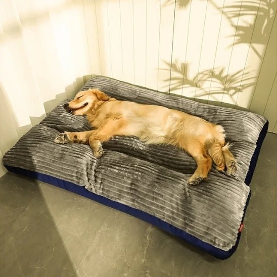 lit pour chien
