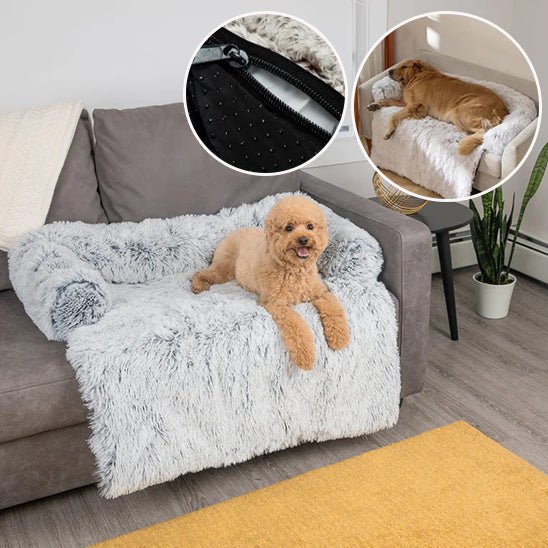 lit pour chien