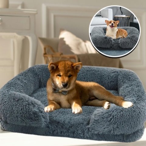 lit-pour-chien