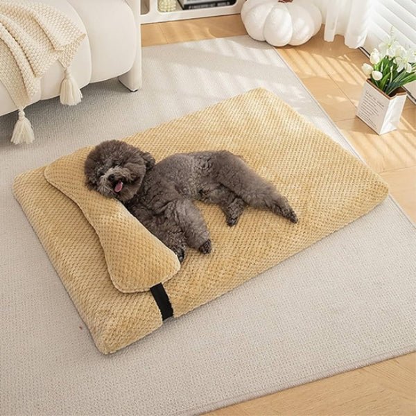 lit pour chien