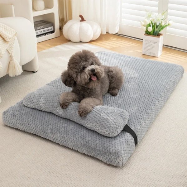 lit pour chien