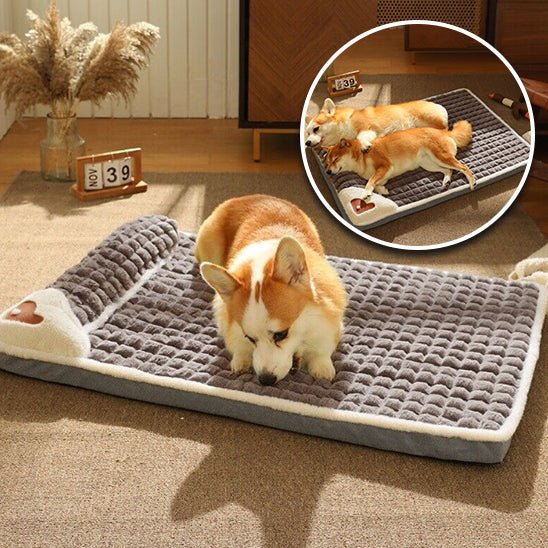 lit-pour-chien