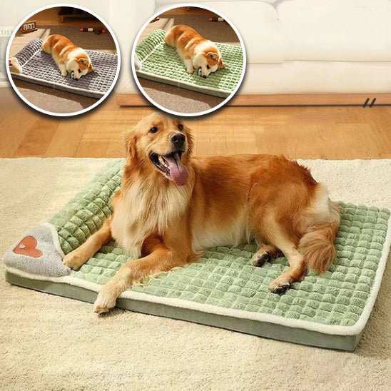 lit-pour-chien