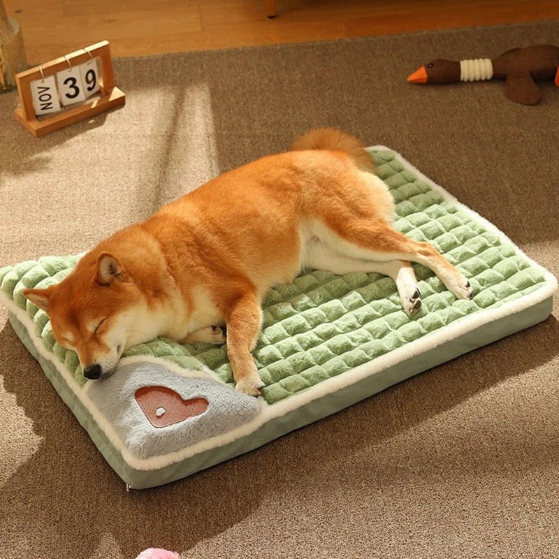 lit-pour-chien