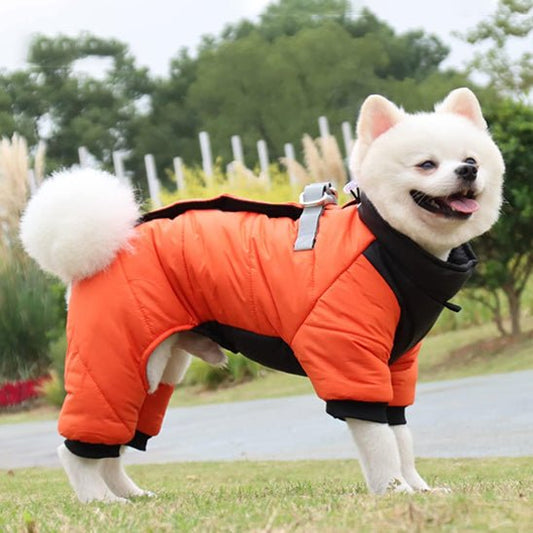 manteau-pour-chien