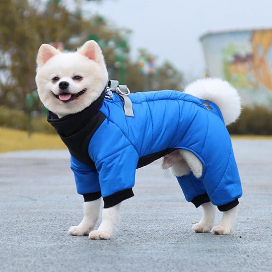 manteau-pour-chien